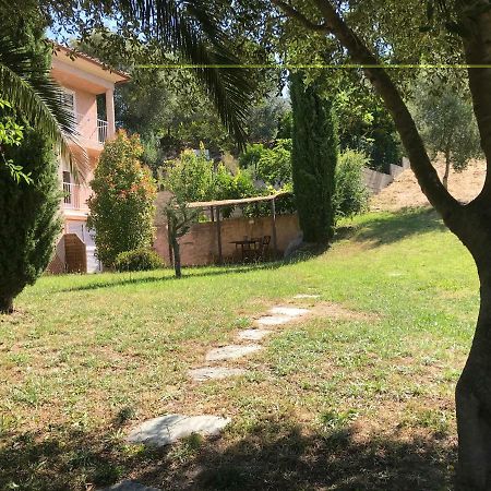 Agreable Location Au Coeur Du Vignoble Dominici Therese Patrimonio Exterior foto